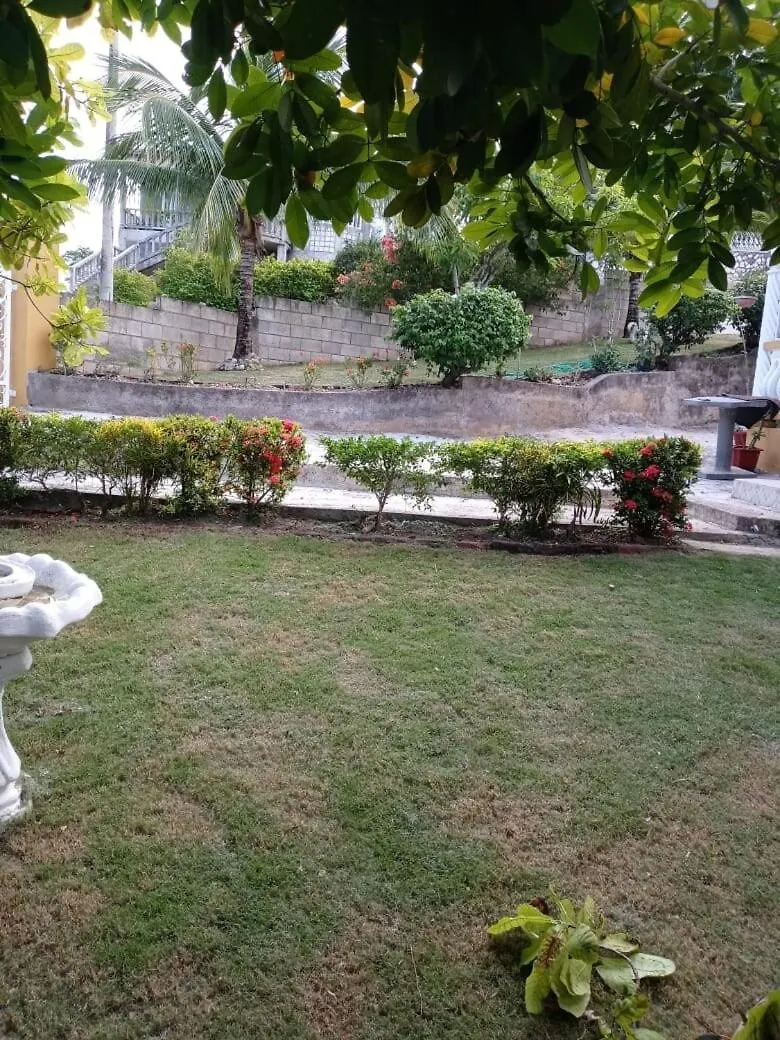 Buffy Home Away From Home Ocho Rios