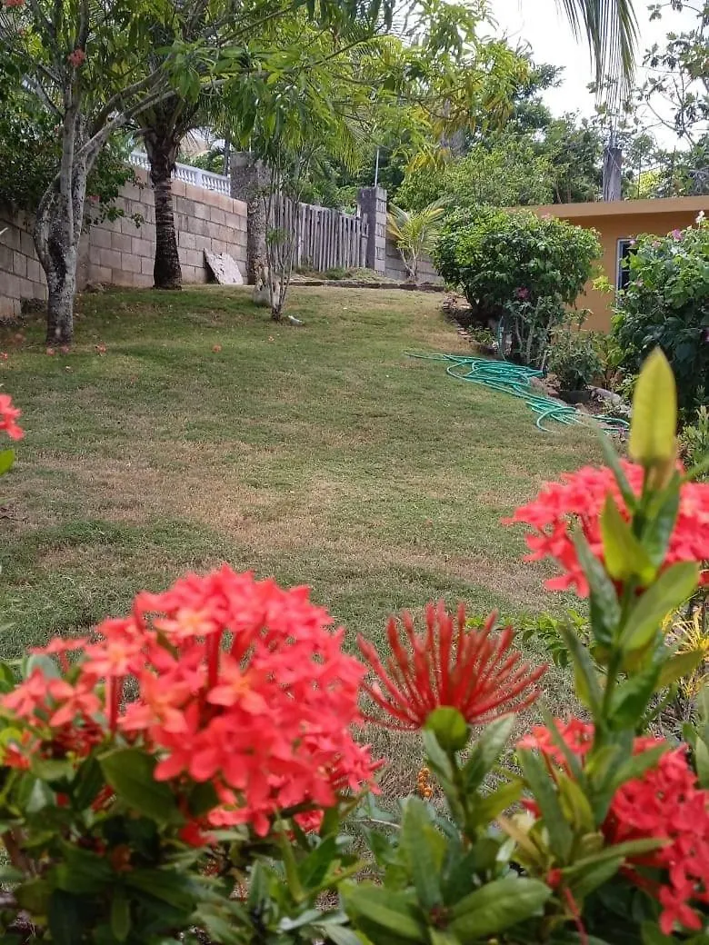 Apartmán Buffy Home Away From Home Ocho Rios